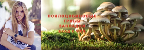 МДПВ Аркадак