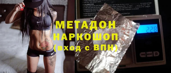 прущие грибы Корсаков