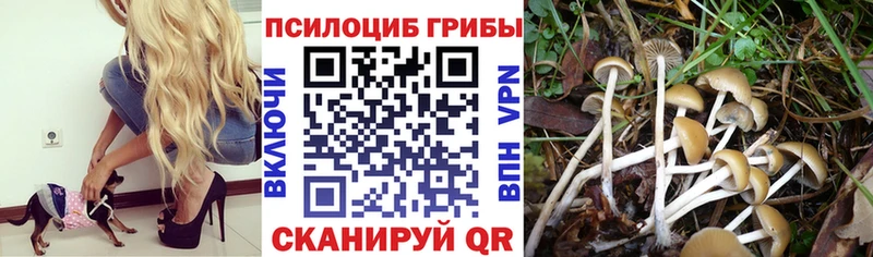 даркнет сайт Талдом OMG зеркало Галлюциногенные грибы GOLDEN TEACHER